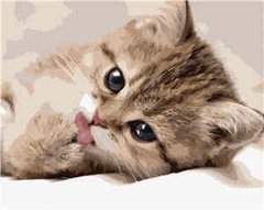 Купити Картина за номерами (без коробки) Маленький котик  в Україні