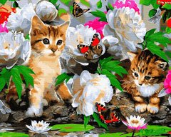 Купить Котята с бабочками. Картина по номерам (без коробки)  в Украине