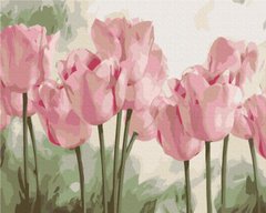 Купить Раскрашивание по номерам Нежные тюльпаны (без коробки)  в Украине