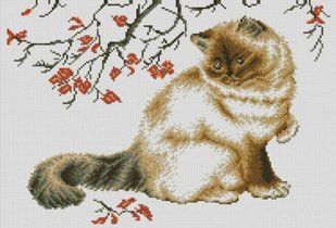 Купить Алмазная вышивка ТМ Dream Art Осенний кот  в Украине