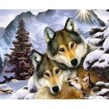 Купити Алмазна мозаїка 30х40см Вовки  в Україні