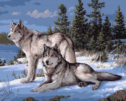 Купить Зимние волки. Набор для рисования картин по номерам  в Украине