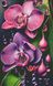 Орхідеї Алмазна вишивка Квадратні стрази 40х65 см з голограмними відтінками