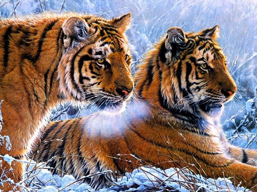Купити Тигри в зимовому лісі Алмазна мозаїка На підрамнику 40 на 50 см  в Україні