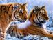 Тигры в зимнем лесу Алмазная мозаика На подрамнике 40 на 50 см, Да
