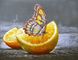Алмазная вышивка На Подрамнике Бабочка на апельсине
