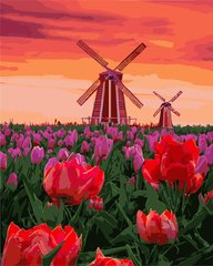 Купить Картина по номерам Тюльпаны на закате  в Украине