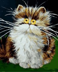 Купити Розмальовки за номерами Пухнасте кошеня  в Україні
