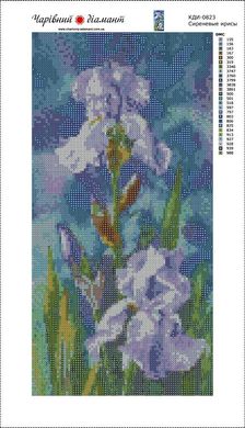 Купити Діамантова мозаїка з повним закладенням полотна Бузкові іриси худ. Ann Mortimer  в Україні