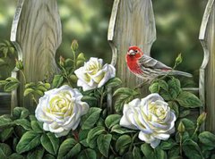 Купити Алмазна вишивка Птах на садових трояндах  в Україні