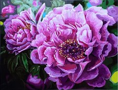 Купить Набор для рисования картины по номерам Розовые пионы  в Украине