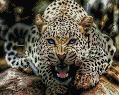 Купити Алмазна мозаїка Погляд леопарда 40х50см  в Україні