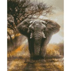Купить Алмазная мозаика круглыми камешками Мощный слон 30х40 см с подрамником  в Украине