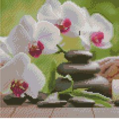 Купить Алмазная картина мозаикой 30х30 см Орхидеи  в Украине