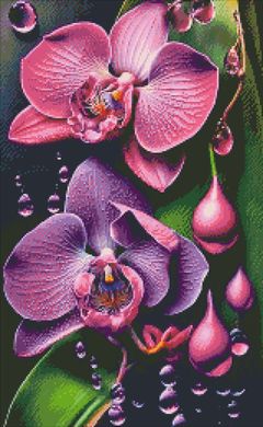 Купить Орхидеи Алмазная вышивка Квадратные стразы 40х65 см с голограммными оттенками  в Украине