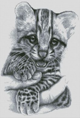 Купити Бенгальське кошеня Набір для алмазної вишивки з повним закладенням квадратними каменями  в Україні