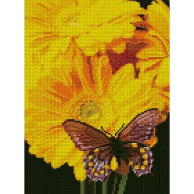 Купити Метелик на соняшнику Мозаїка камінчиками по номерам з підрамником  в Україні