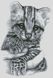 Бенгальский котенок Набор для алмазной вышивки с полной закладкой квадратными камнями, Нет