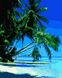 Тропічний пляж Картина антистрес за номерами без коробки, Без коробки, 40 х 50 см