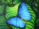 Алмазна вишивка На Підрамнику Синій метелик