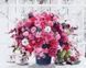 Рожеві хризантеми Набір для малювання по цифрам (без коробки), Без коробки, 40 х 50 см