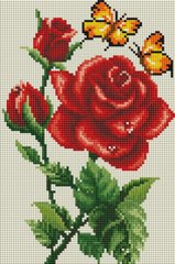Купить Набор алмазной мозаики 20х30 Роза и бабочки  в Украине