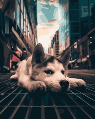 Купити Втомлене щеня Антистрес розфарбування по цифрам без коробки  в Україні
