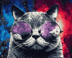 Купить Космический кот. Набор для раскрашивания по цифрам  в Украине