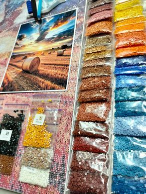 Купить Золотое поле Алмазная вышивка Квадратные стразы 40х50 см с голограммными оттенками  в Украине