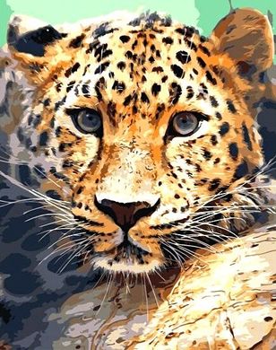 Купити Погляд леопарда Алмазна мозаїка На підрамнику 40 на 50 см  в Україні