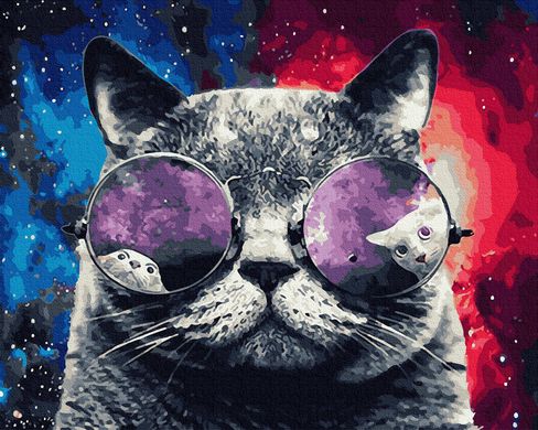 Купити Космічний кіт. Набір для розфарбовування по цифрам  в Україні