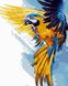Набор для рисования по номерам (без коробки) Желто-синий попугай, Без коробки, 40 х 50 см