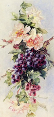 Купить Алмазная мозаика Ветвь винограда 65х30см  в Украине