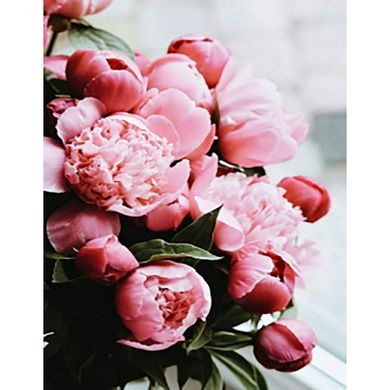 Купить Нежность розовых пионов Набор для алмазной мозаики (подвесной вариант) 40х50см  в Украине