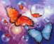 Розфарбовування по номерах Метелики з бульбашками (без коробки), Без коробки, 40 х 50 см