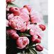 Нежность розовых пионов Набор для алмазной мозаики (подвесной вариант) 40х50см, Планки (4шт), 40 x 50 см