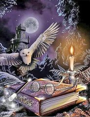 Купити Магічні книги Гаррі Поттера Алмазна вишивка Квадратні стрази 40х50 см  в Україні