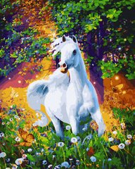 Купити Картина за номерами без коробки Білий кінь  в Україні