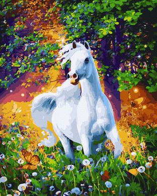 Купить Картина по номерам без коробки Белая лошадь  в Украине