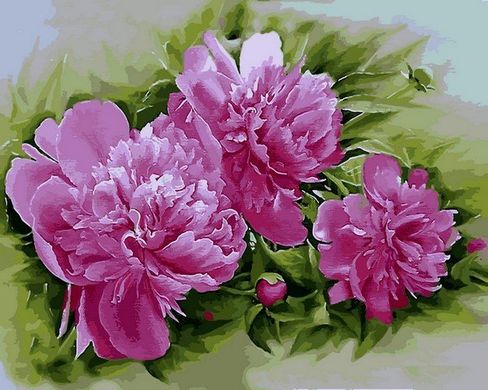Купить Набор для рисования по цифрам Розовые пионы  в Украине