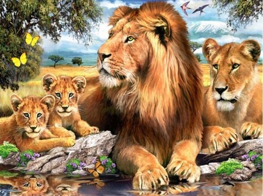 Купити Сімейство левів Алмазна мозаїка На підрамнику 40 на 50 см  в Україні