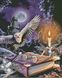 Магічні книги Гаррі Поттера  Алмазна вишивка Квадратні стрази 40х50 см