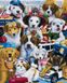 Великолепные собачки Цифровая картина по номерам (без коробки), Без коробки, 40 х 50 см