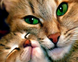 Кішка з кошеням Діамантова вишивка На Підрамнику, квадратні камінчики 40х50см, Так, 40 x 50 см