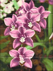 Купити Квіти на картині за номерами на дерев'яній основі Рожеві орхідеї  в Україні