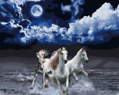 Купити Білі коні Алмазна картина розфарбування 40 х 50 см  в Україні