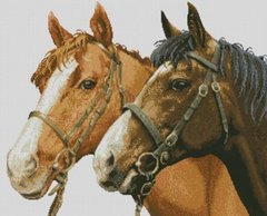 Купить Набор для алмазной живописи квадратными камнями Пара лошадей  в Украине
