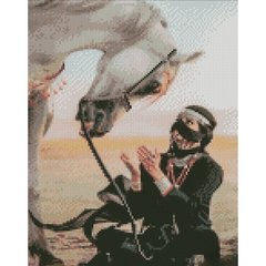 Купити В пустелі з конем 30х40 см (KB038) Набір для творчості алмазна картина  в Україні