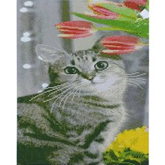 Купить Милый котенок Алмазная мозаика 40х50 см  в Украине