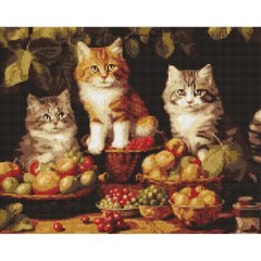Купити Котики і фрукти ©art_selena_ua Алмазна мозаїка на підрамнику 40х50см  в Україні